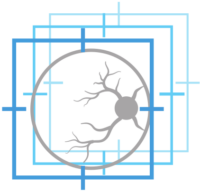 Real-time-hardware-eye-tracking